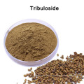 100% Natural Tribulus Terrestris Powder Extract